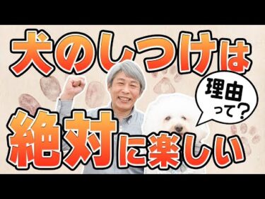 犬と暮らす人みんなに伝えたい。“犬のしつけは絶対に楽しい”理由