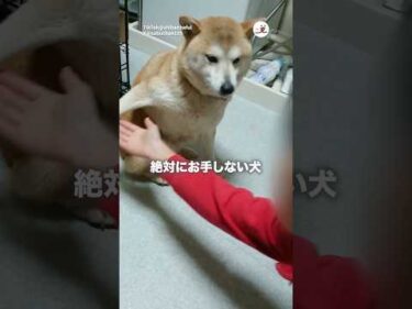 絶対にしない✋｜PECO