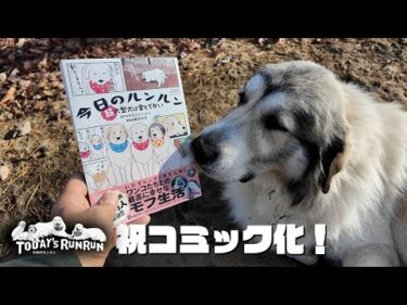 【お知らせ】今日のルンルンがコミックになります！　Great Pyrenees　グレートピレニーズ