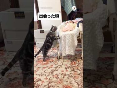 出会った頃から5年後…｜PECO