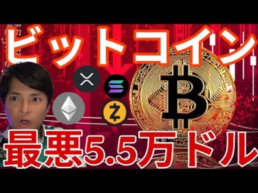 ビットコイン2026年最悪5.5万ドル(800万円)、他の仮想通貨もっと悲惨に！