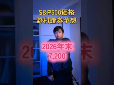 S&P500 野村證券の価格予想