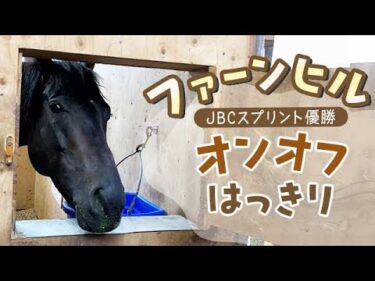 【JBCスプリント優勝】ファーンヒルはオンオフはっきり！