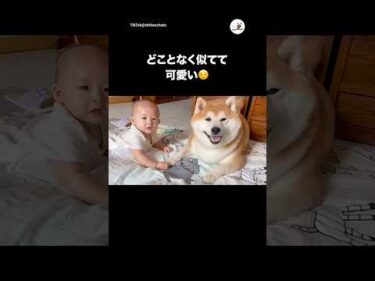 まだ互いに何者だかわかっていない頃のふたり｜PECO