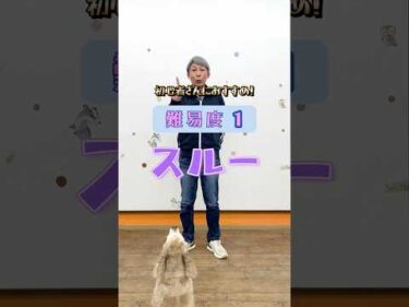 ドッグトリック 難易度１｜初心者さんにおすすめ【８の字またくぐり/スルー】