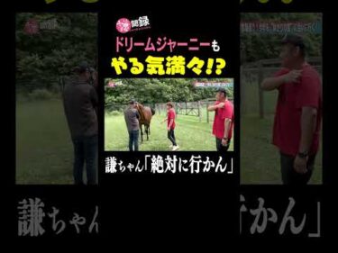 ドリームジャーニーもやる気満々⁉︎ #謙聞録 #netkeiba で配信中 #池添謙一 #ドリームジャーニー