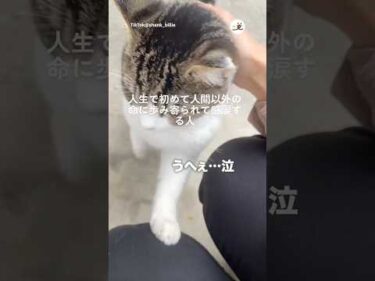 人生で初めて人間以外の命に歩み寄られた｜PECO