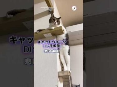 DIYしたのに悲しい結末…｜PECO