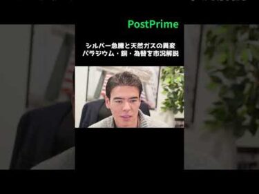 シルバー急騰と天然ガスの異変｜パラジウム・銅・為替を市況解説【最新マーケット】