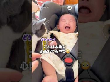 これは本当に心配してるやつ｜PECO