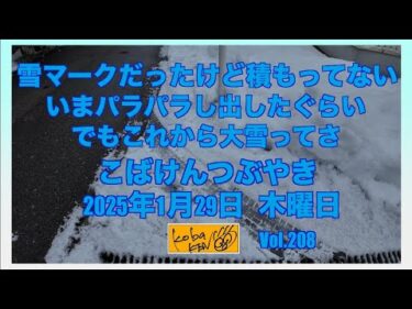 2026年1月29日　木曜日　こばけんつぶやき