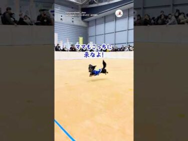 ドッグレースで一直線に走るはずなのに…｜PECO