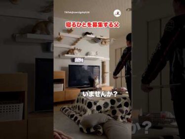 誰かお父さんと寝ませんか？｜PECO