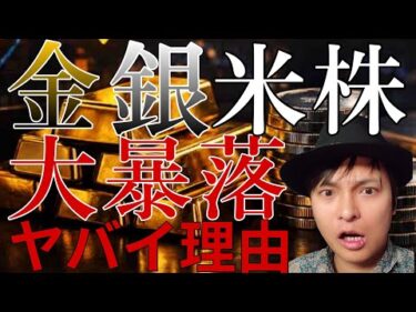 金 銀 米国株 大暴落！！ 絶対知るべきヤバイ理由。今は買い場？