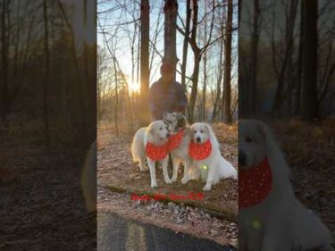 Happy New Year 2026！