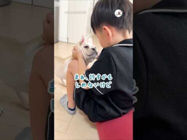 許さないよ、許すかもしれないけど｜PECO