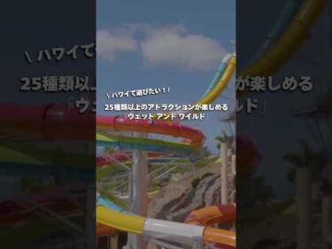 #ハワイ 最大のウォーターパーク「ウェット アンド ワイルド」にスリル満点の絶叫系スライダーが新登場！その他のアトラクションは本編へ👆#ハワイ旅行 #ハワイ観光 #hawaii
