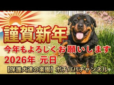 【謹賀新年】本年もよろしくお願い致します