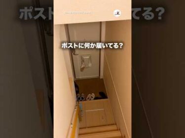 もふもふ郵便届いたかと思った｜PECO