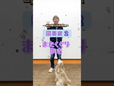 またくぐり歩き｜難易度２で挑戦しやすいトリック