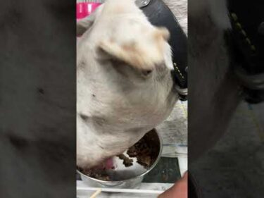 ご心配おかけしております