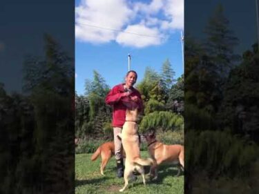 ややこし過ぎるオヤツタイム