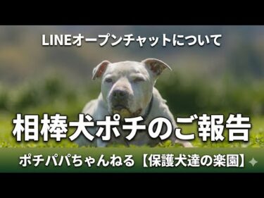 【ライブ】相棒犬ポチのご報告とLINEオープンチャットについて