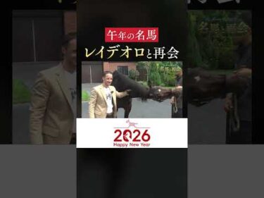 【年男レイデオロ】をＣ.ルメール騎手が訪問 フル動画は #netkeiba で配信中 #レイデオロ #ルメール #2026 #午年 #年男