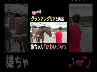 【グランアレグリア】GI6勝の名馬と謙ちゃんが再会！ #謙聞録 #netkeiba で配信中 #池添謙一 #グランアレグリア #1月生まれの名馬