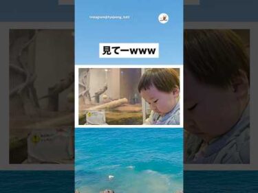 すごいことやってるから見て！｜PECO