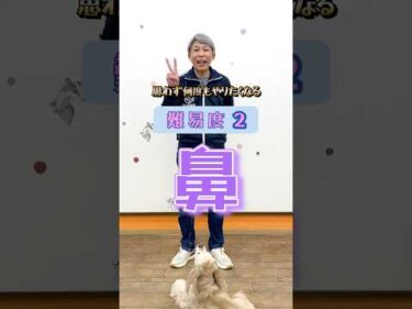 ドッグトリック難易度２｜【鼻】面白可愛くて何度もやっちゃう！