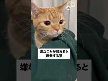 嫌なことが溜まるとこうなる｜PECO