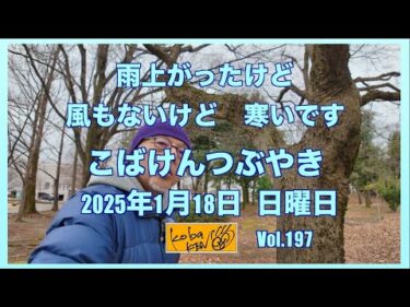 2026年1月18日　日曜日　こばけんつぶやき