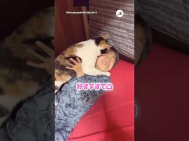 愛が止まらない保護猫さん🐱｜PECO