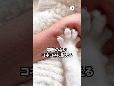 容赦のないコネコネに耐える飼い主さん｜PECO