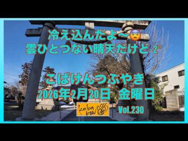2026年2月20日　金曜日　こばけんつぶやき