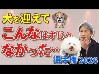 犬を迎えて「こんなはずじゃなかった…」アンケート結果を発表します【犬のしつけ】