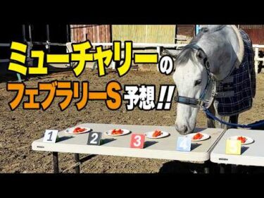 フェブラリーS 3年連続出走のミューチャリーさんに今年の本命を聞いてみた