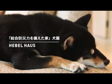 HEBEL HAUS｜ペットが幸せ、というしあわせ。