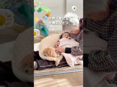 世界一幸せな光景のひとつ｜PECO