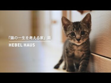 HEBEL HAUS｜ペットが幸せ、というしあわせ。