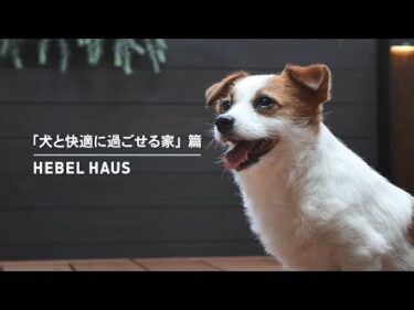 HEBEL HAUS｜ペットが幸せ、というしあわせ。