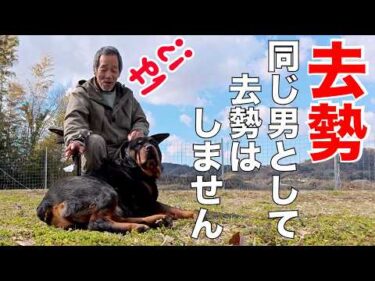 【犬の去勢】甘い考え方は生涯後悔するかも？
