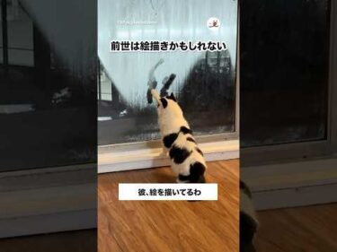 前世は絵描きかも？｜PECO