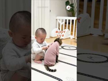 採寸させてくれる✨｜PECO