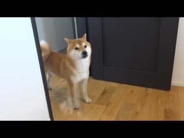 え？家に帰ると…パパがいなくなってました