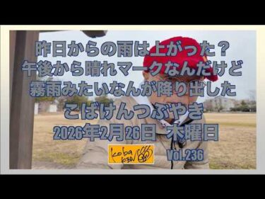 2026年2月26日　木曜日　こばけんつぶやき