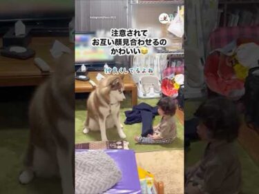 顔を見合わせるふたり｜PECO