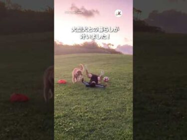 小さい頃から夢見ていた大型犬との暮らしが叶いました✨｜PECO