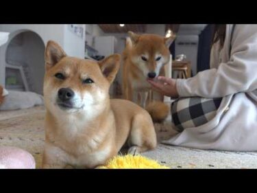 え！？病院へ行ったママのまさかの診断結果が…